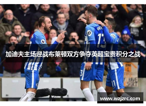 加迪夫主场迎战布莱顿双方争夺英超宝贵积分之战