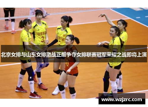 北京女排与山东女排激战正酣争夺女排联赛冠军荣耀之战即将上演
