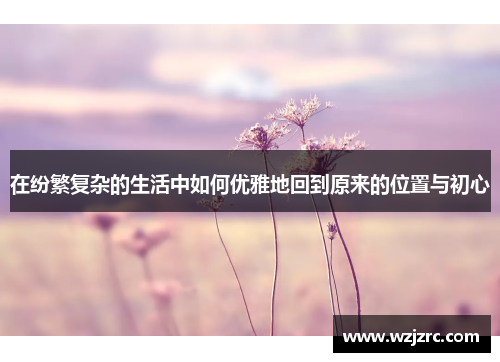 在纷繁复杂的生活中如何优雅地回到原来的位置与初心