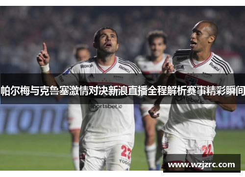 帕尔梅与克鲁塞激情对决新浪直播全程解析赛事精彩瞬间